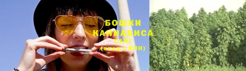 хочу   Белово  Каннабис White Widow 